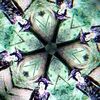 pzilocybe